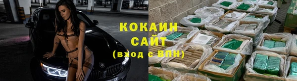метадон Дмитриев