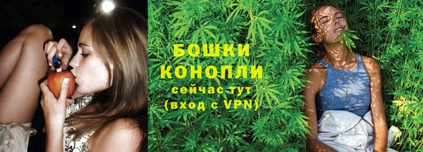 сатива Гусь-Хрустальный