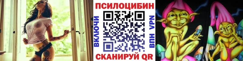 Купить  Курган  Галлюциногенные грибы MAGIC MUSHROOMS 